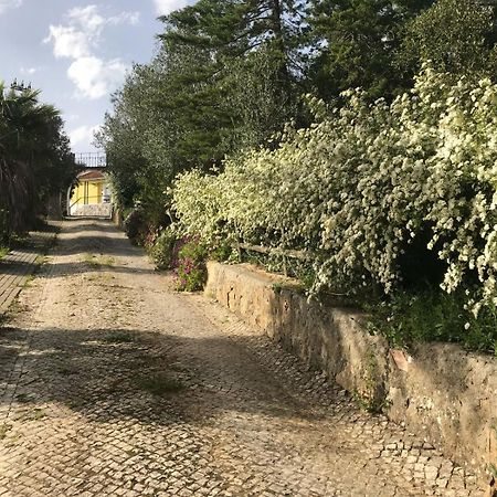 Quinta Dos Canais เซตุบาล ภายนอก รูปภาพ