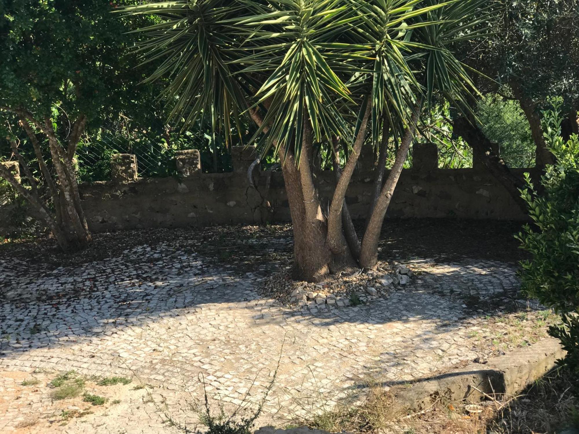 Quinta Dos Canais เซตุบาล ภายนอก รูปภาพ