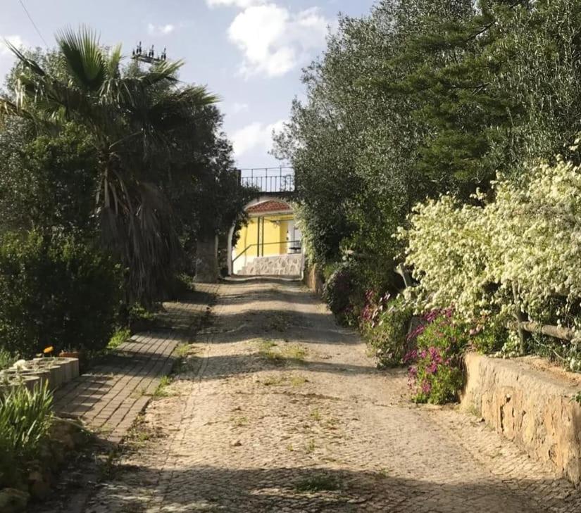 Quinta Dos Canais เซตุบาล ภายนอก รูปภาพ