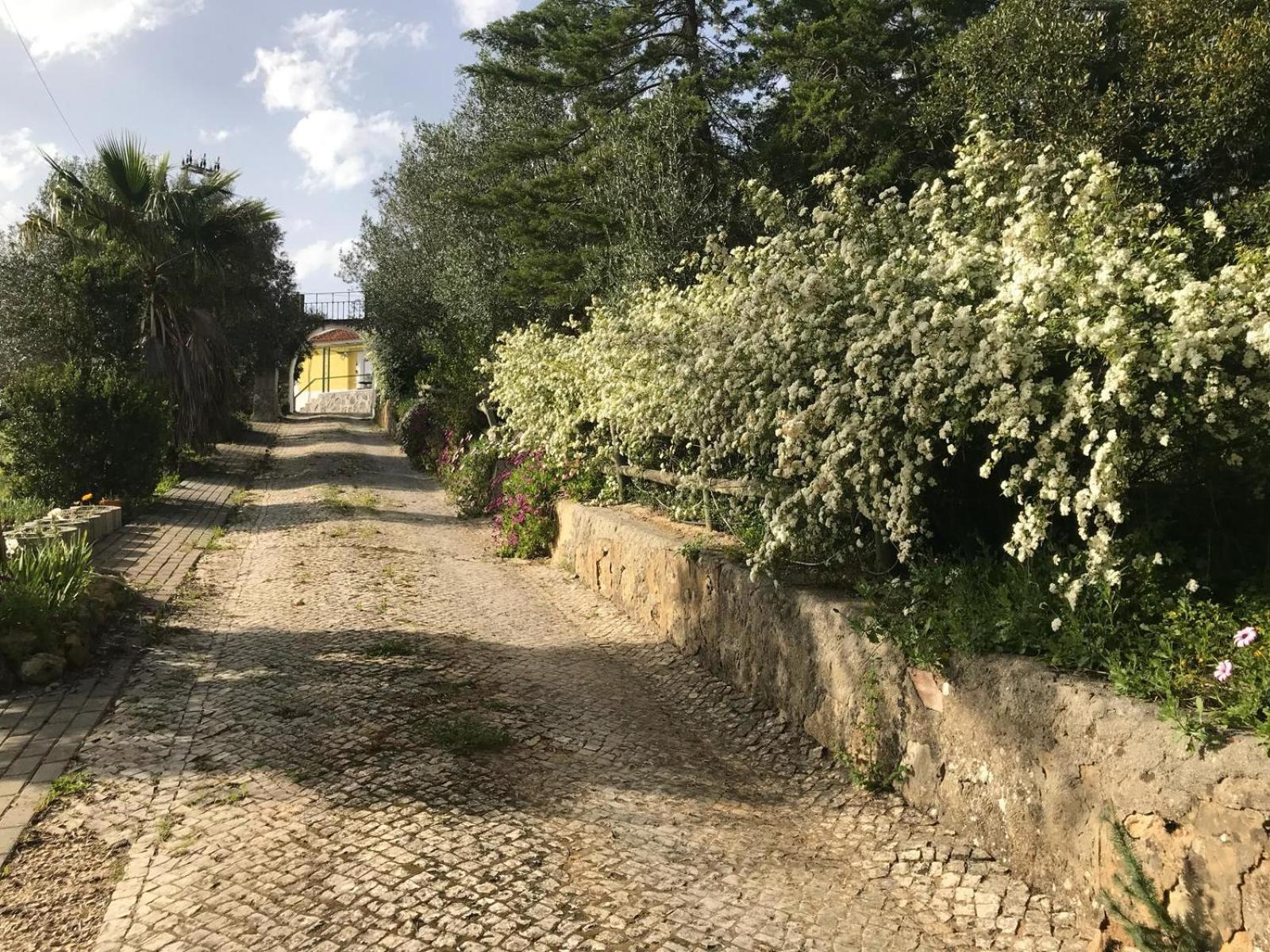 Quinta Dos Canais เซตุบาล ภายนอก รูปภาพ
