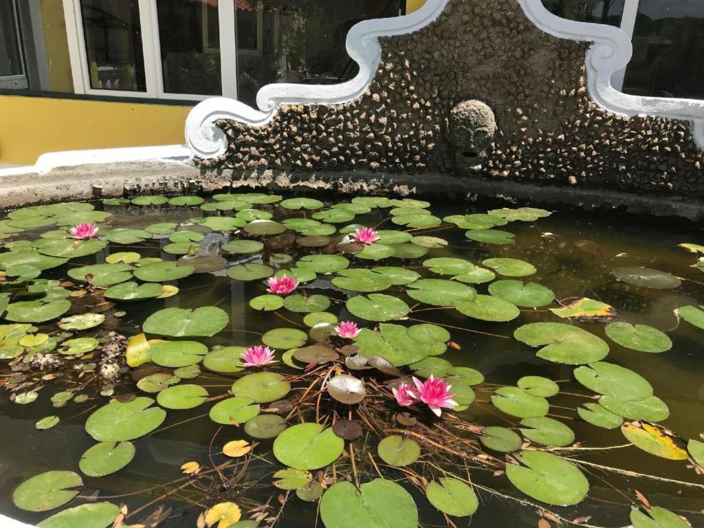 Quinta Dos Canais เซตุบาล ภายนอก รูปภาพ